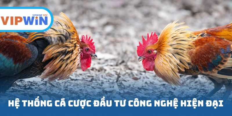 Hệ thống cá cược đầu tư công nghệ hiện đại