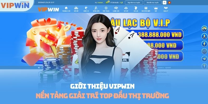 Giới thiệu Vipwin