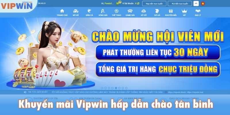Khuyến mãi Vipwin hấp dẫn chào tân binh