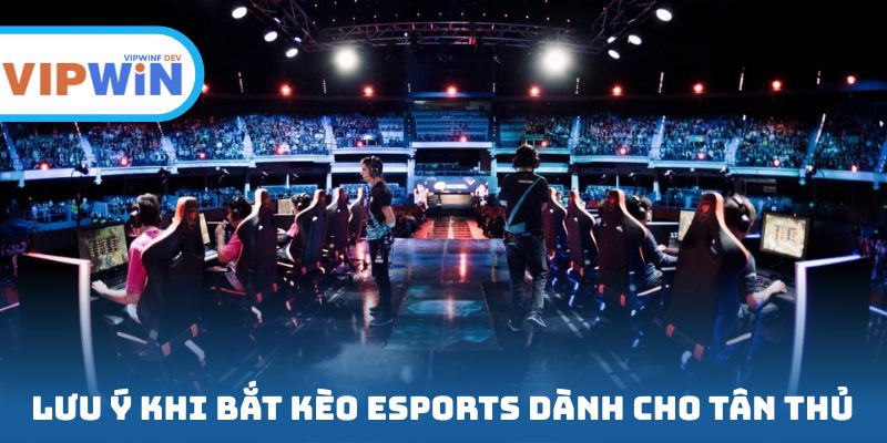 Lưu ý khi bắt đánh giá Esports dành cho tân thủ