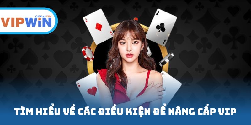 Tìm hiểu về các điều kiện để nâng cấp VIP