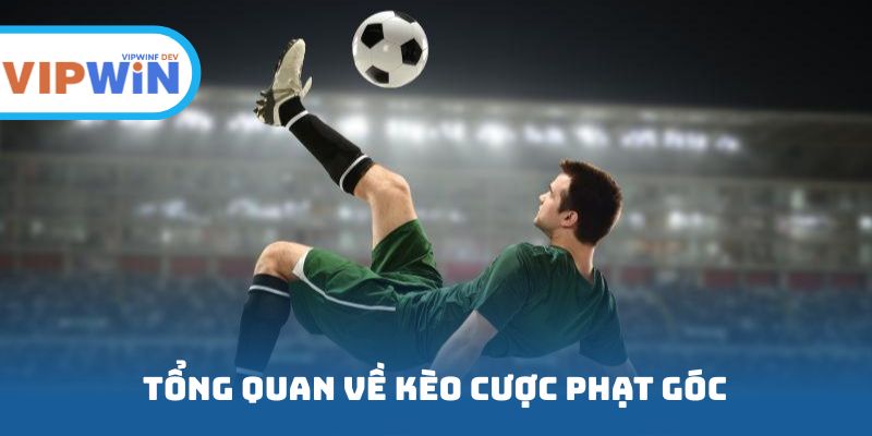 Tổng quan về kèo cược phạt góc