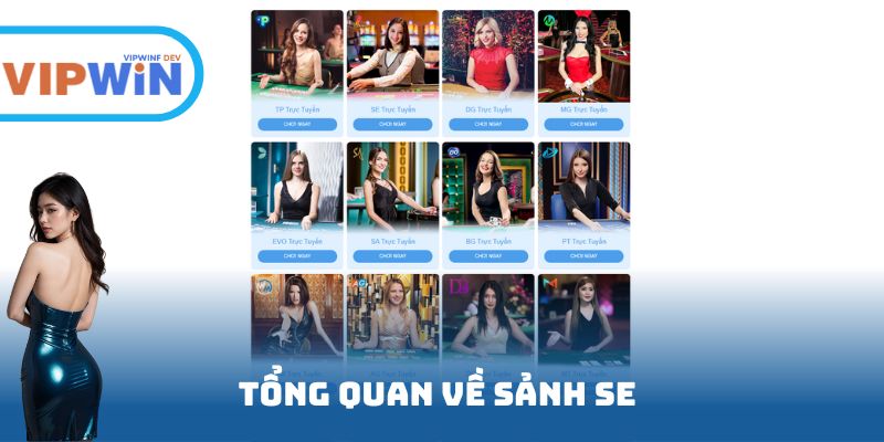 Tổng quan về sảnh SE