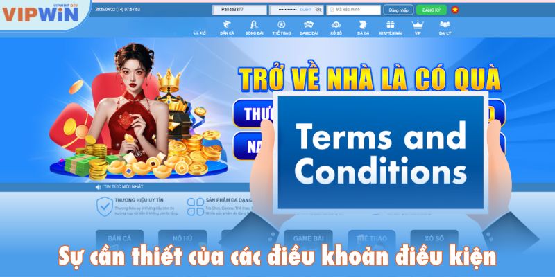 Sự cần thiết của các điều khoản điều kiện