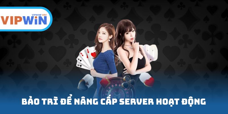 Bảo trì hệ thống để nâng cấp server hoạt động