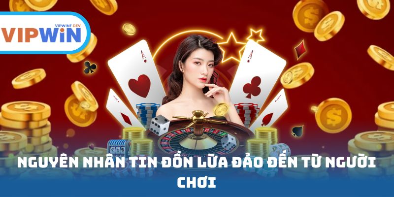 Nguyên nhân tin đồn VIPWIN lừa đảo đến từ người chơi